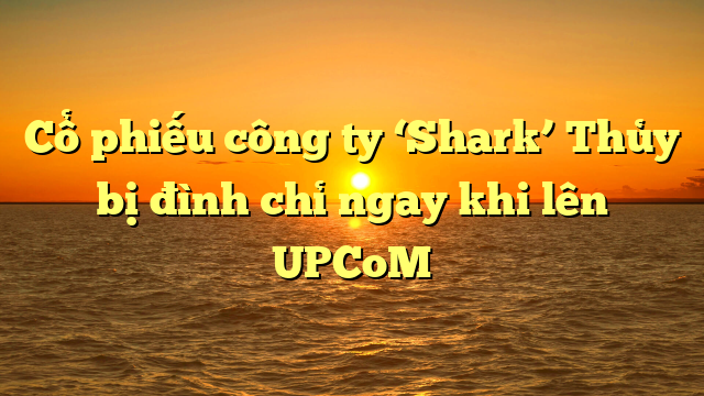 Cổ phiếu công ty ‘Shark’ Thủy bị đình chỉ ngay khi lên UPCoM